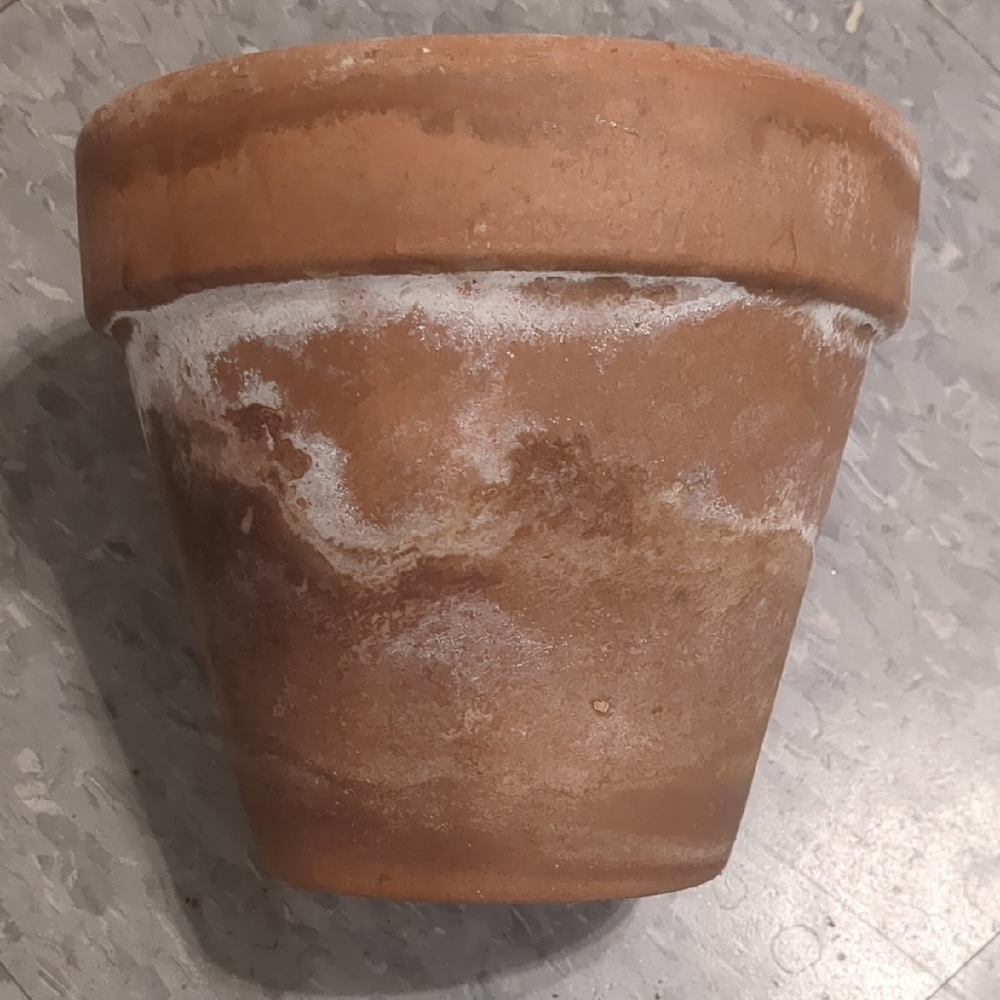 Classic Terracotta Clay Flower Pot - Preloved